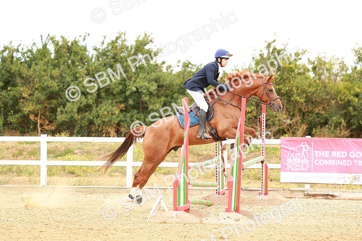SBM_005138 - Class 2 - Senior British Novice - 90cm