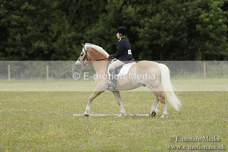 BVR160717-1163 - Class 2 Dressage 16/07/17