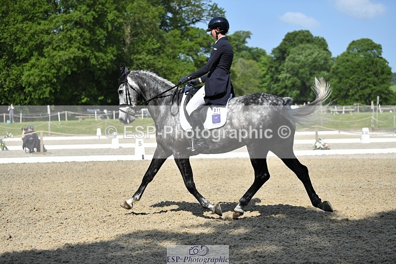 230525-101845-01684 - 311-BALLYCOSKERRY_REGAL_DIAMOND-Hollie_Swain-WEDTrotUp+DR