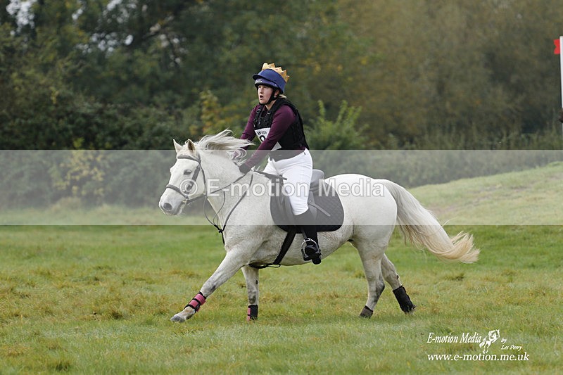  WWHT 171021 0841 - Open Novice (0.80m)  17/10/21