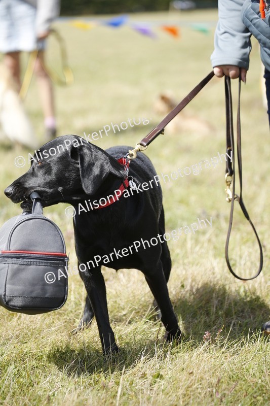 20250831-3674 - Dog Show