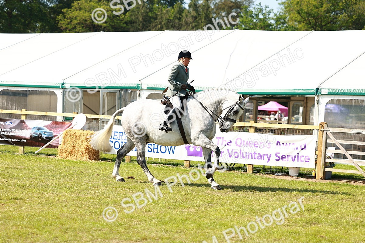 SBM_11929 - Class 66-69 - RIHS Ridden Hunters Inc Small Hunter
