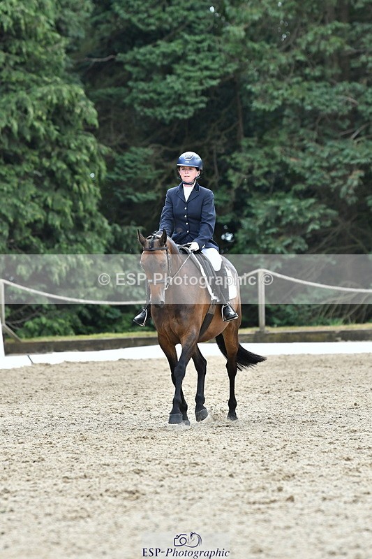 260801A-124929-04060 - Prelim Bronze Break - End