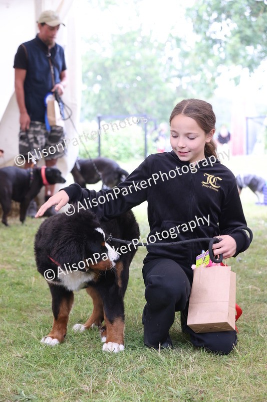 20250607-0265 - Class 6 - Child's Best Friend