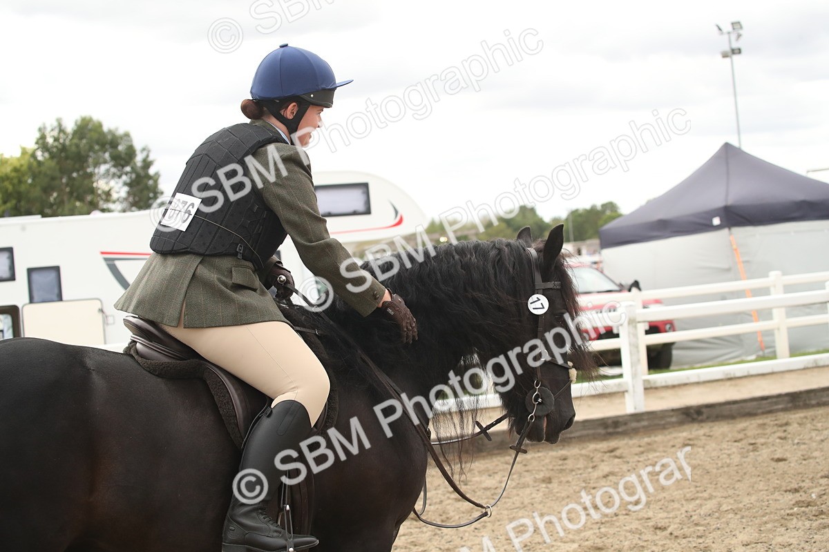 SBM_16644 - Class 507a - Working Veteran - 60cm (15-19)