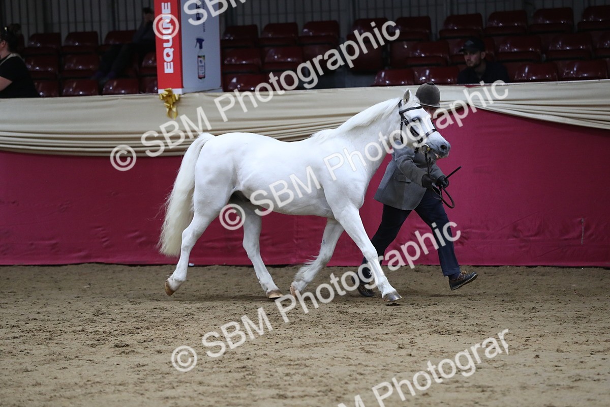 SBM_04945 - Class 8R- Regional -IH Veteran