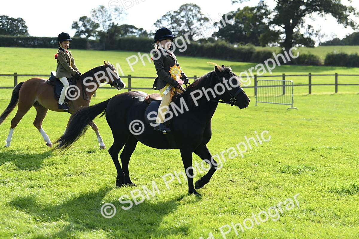 SBM_50518 - S21 - Novice & Newcomers 1st Ridden Pony