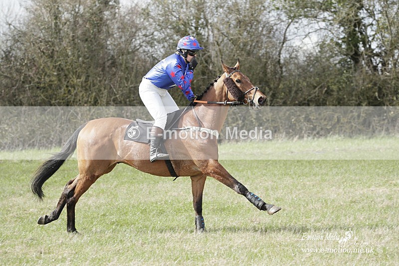 PtP 180323 291 - Shelfield Park Races with Croome & West Warwickshire Hunt  18/03/23