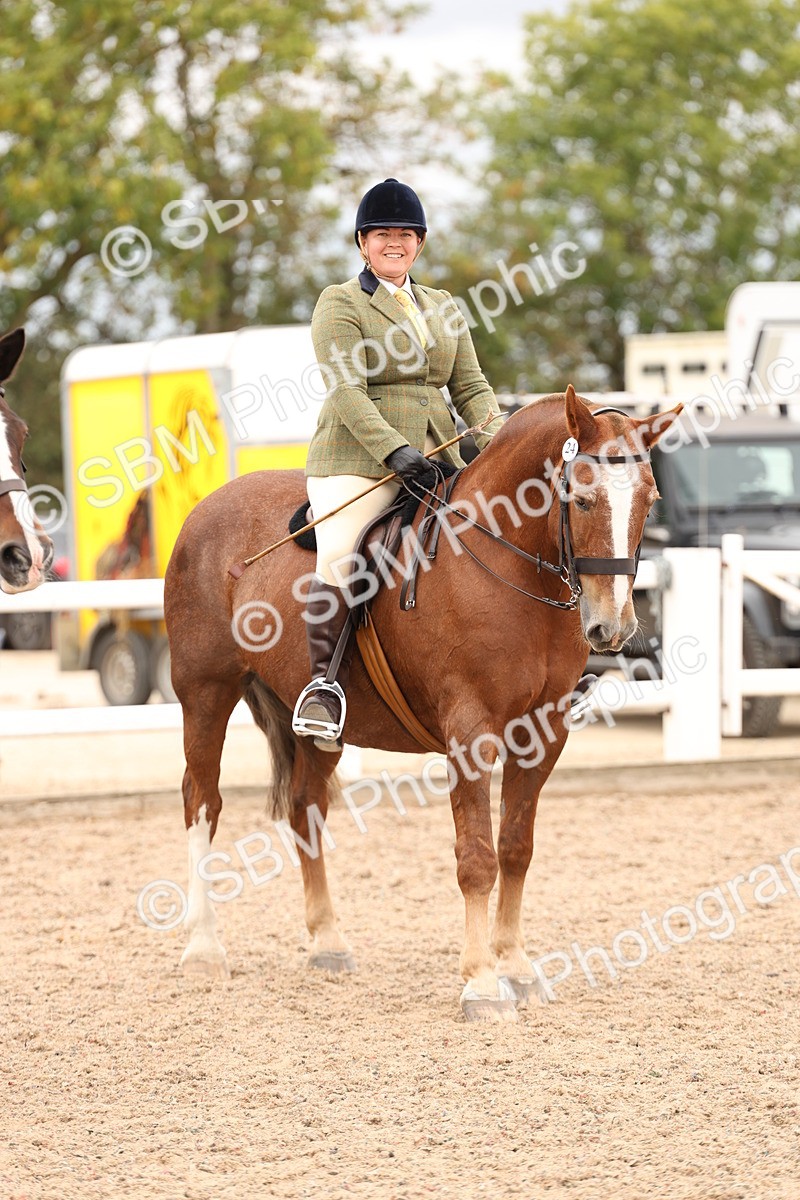 SBM_19573 - Class 215 - Ridden Show cob