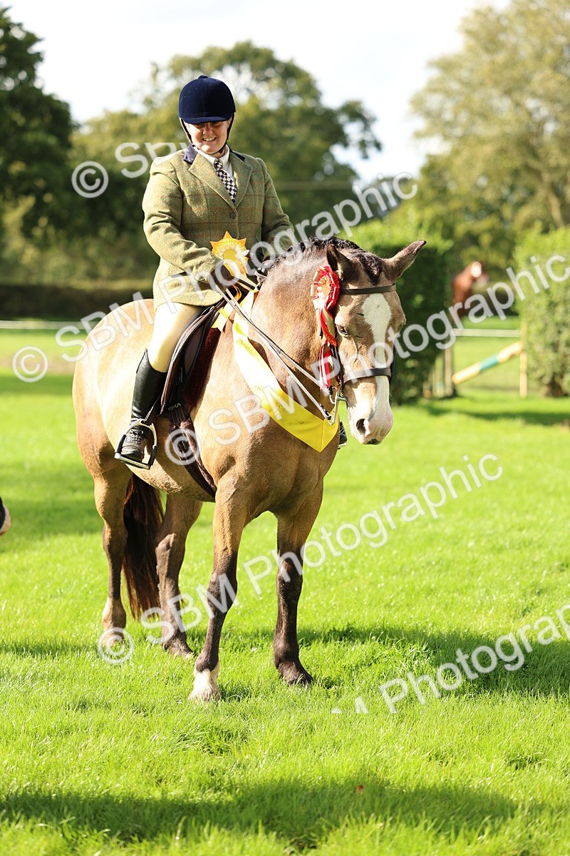 SBM_46426 - Working Hunter Pony Supreme Championship