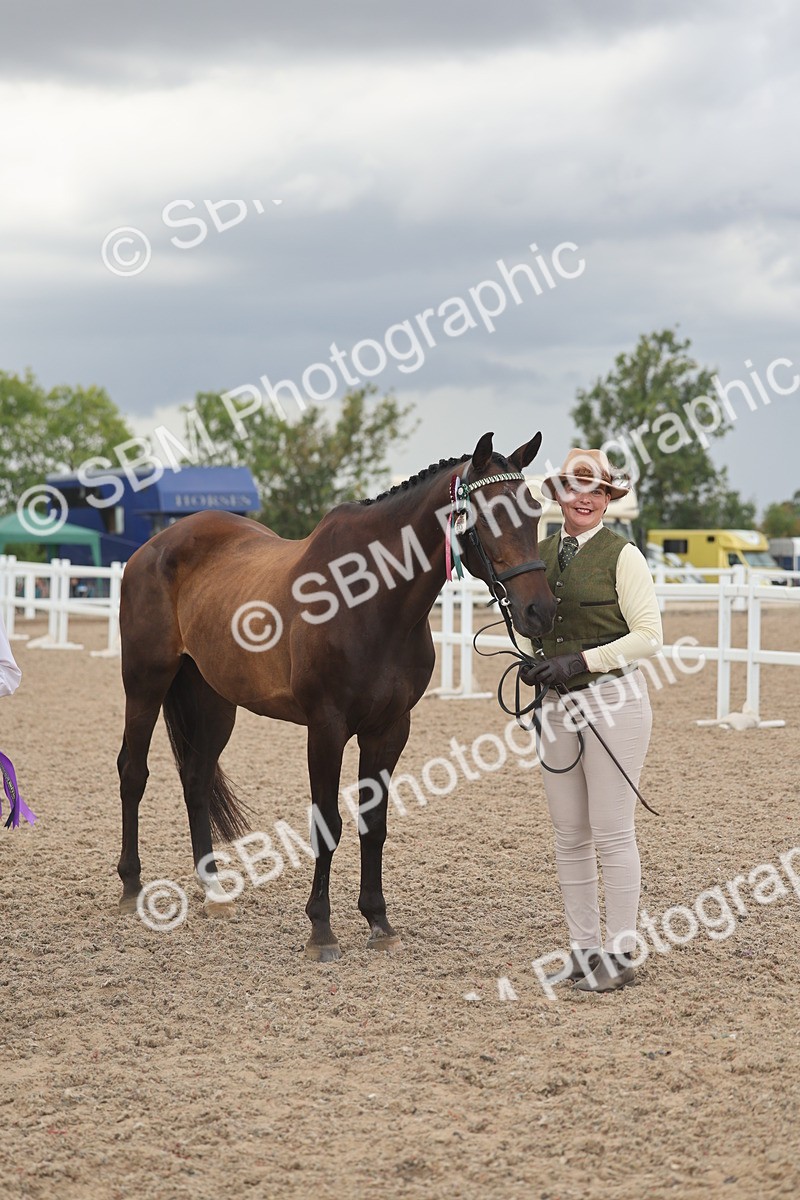 SBM_06936 - Class 25 - IH Foreign Breeds - Purebred