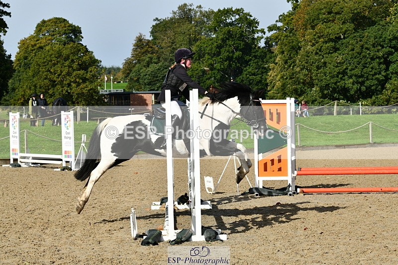 251004A-115442-00803 - Classes 4 & 5 50cm