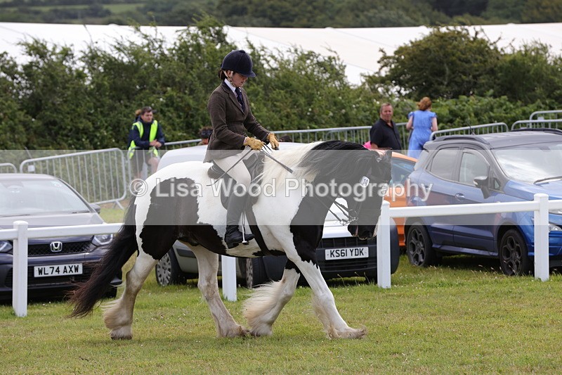 1X9A4513 - Class 34: Veteran Ridden