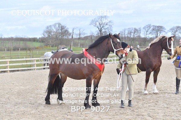 BPP_9027 - RING 2 - M&M