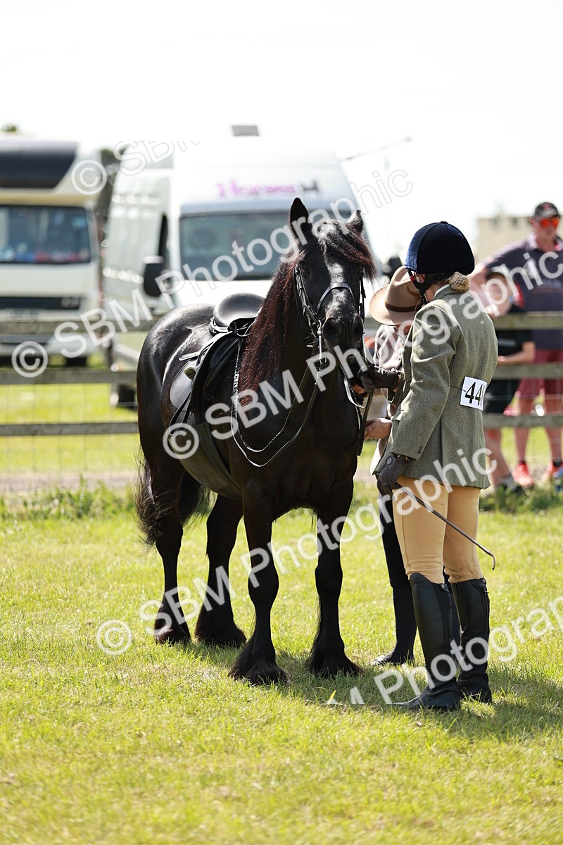 SBM_07193 - Class 26-30 - Mountain and Moorland Ridden