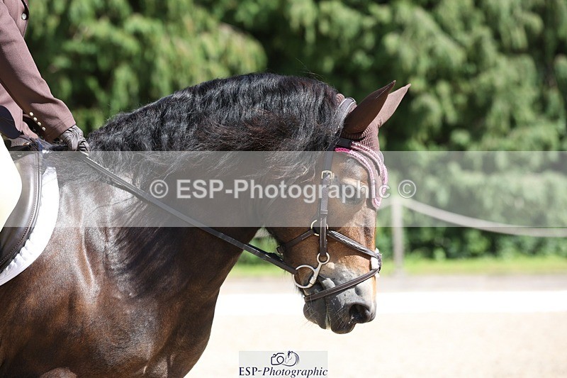 230811-144237-02080 - Cls 1 Prelim Bronze 13.30 to 14.50 break