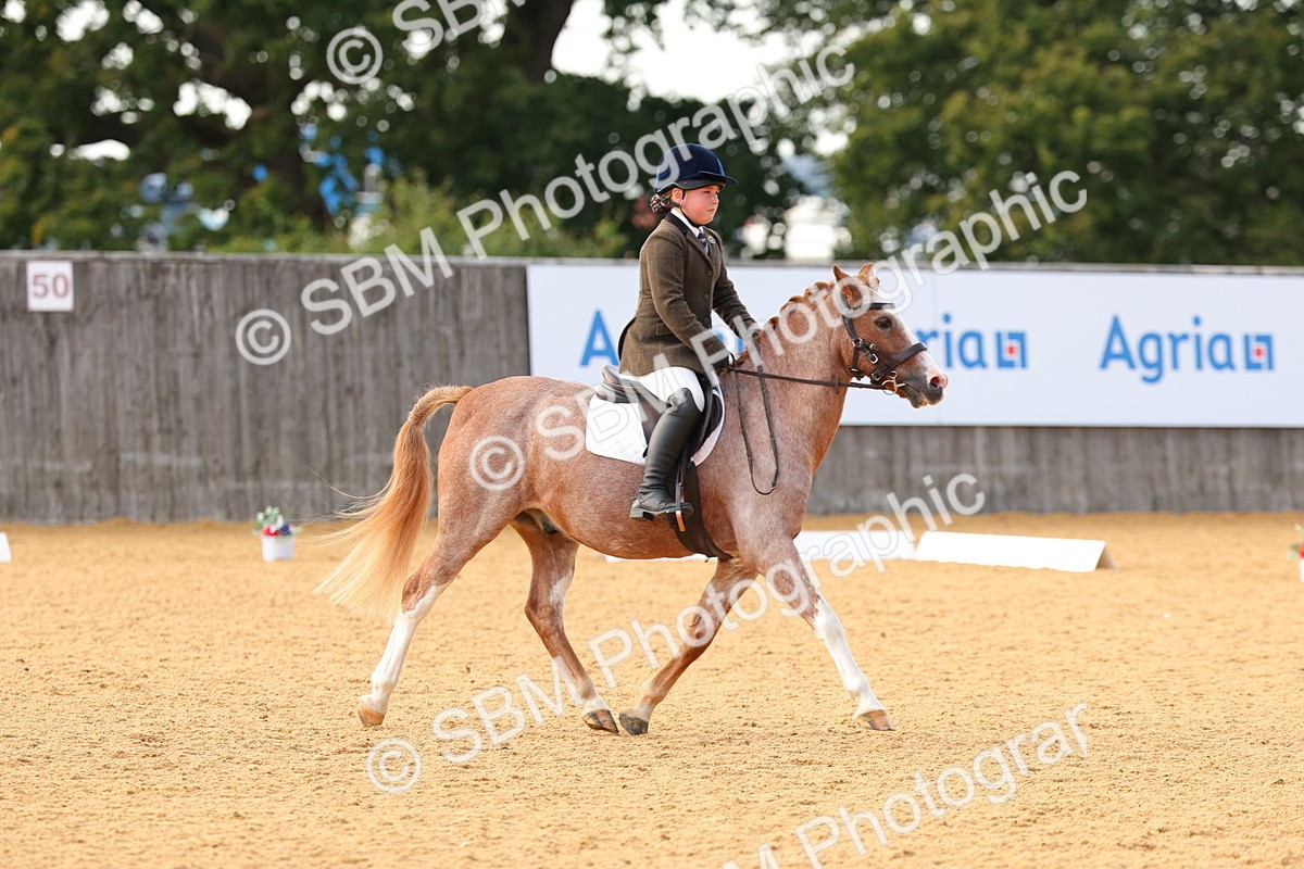 SBM_49745 - D24 - Junior Championship - Prelim 1