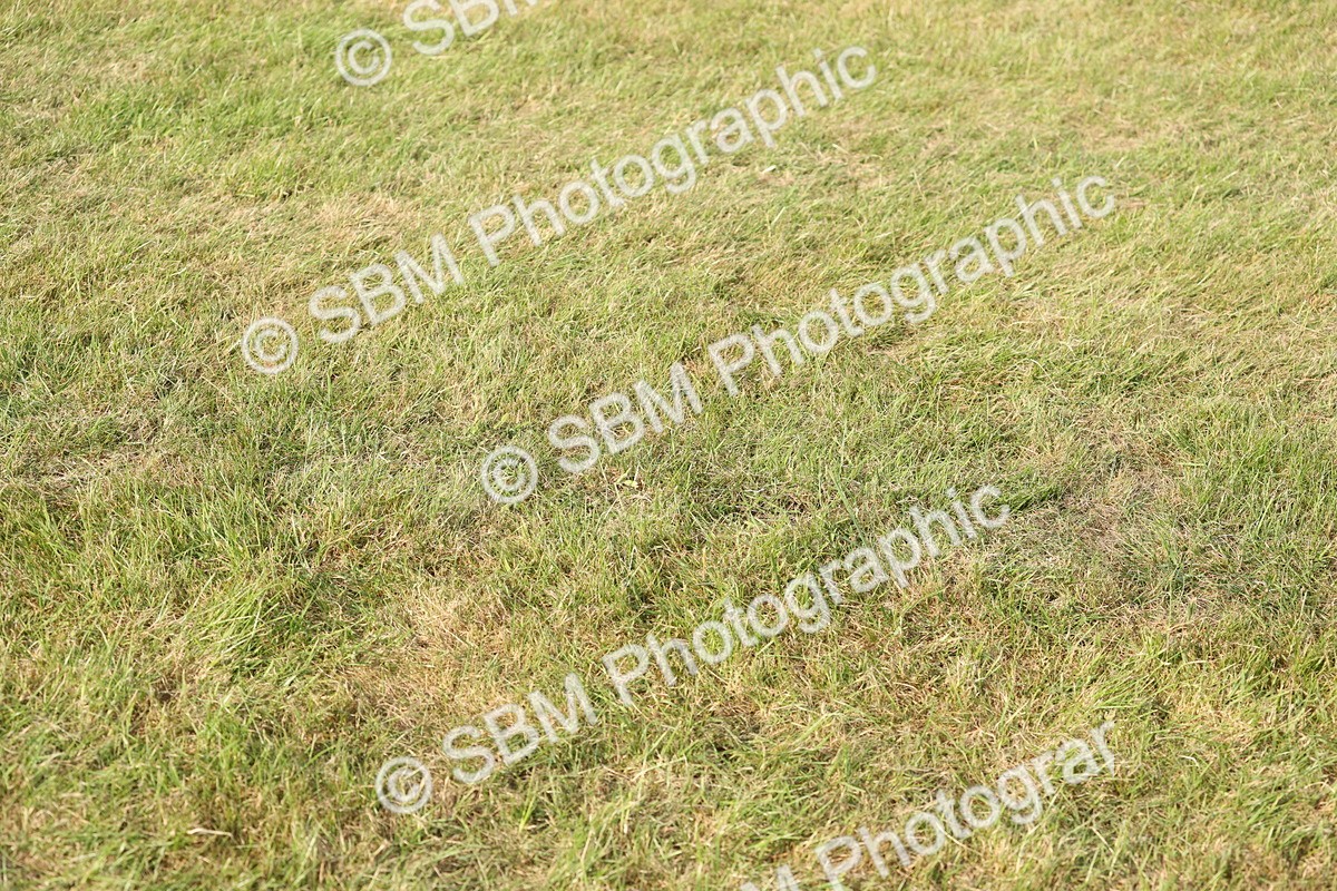 SBM_10558 - Class 33-38 - SSADL RIHS Qualifiers