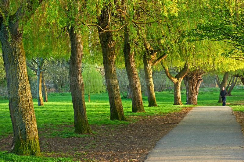  - Stratford upon Avon