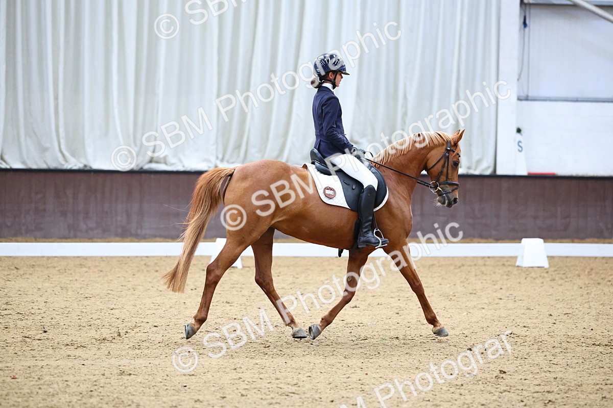 SBM_003965 - Novice 2