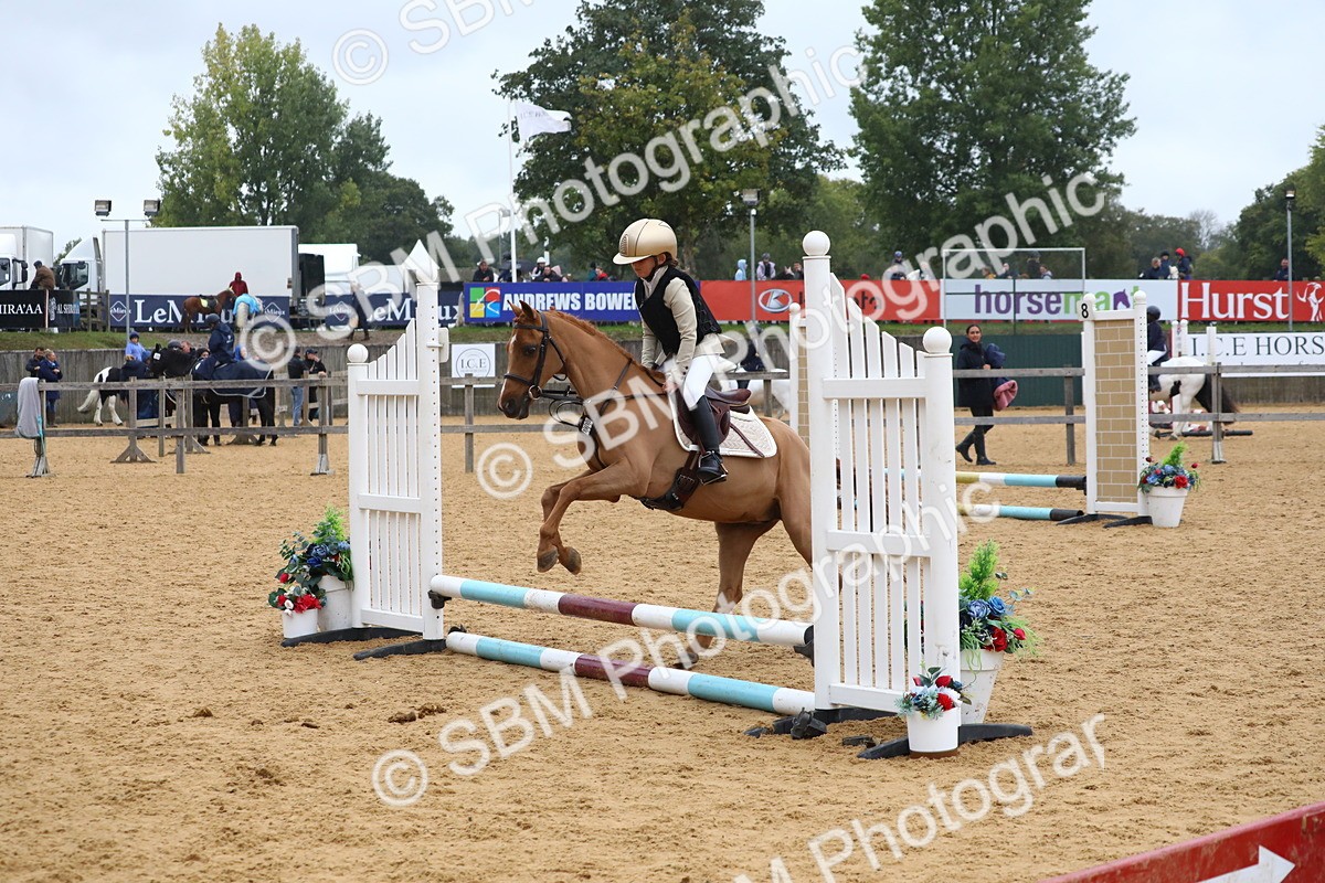 SBM_72022 - J3b - Mini Tour Junior Pony 40cm Championship