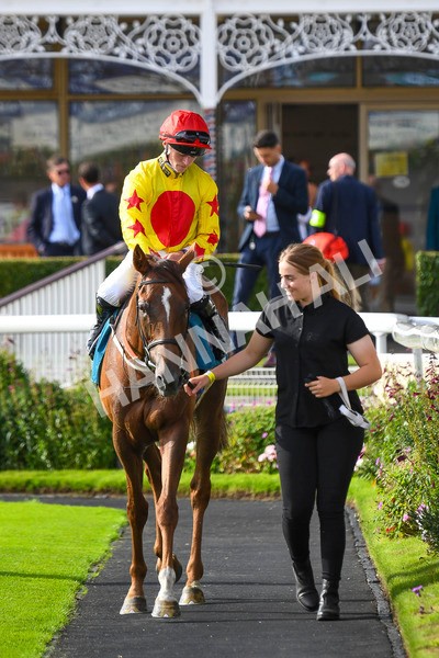 280723-Race 2-Quest For Fun-0216 - Race 2 5.30pm eventmasters.co.uk Handicap