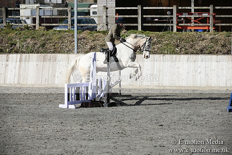 BVRC SJ 170319 129 - Bourne Valley Riding Club Showjumping 17/03/19