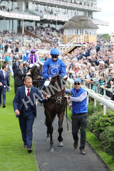 yr17082022r4-41 - Race 4 3.35pm Juddmonte International Stakes (British Champions Series Race)