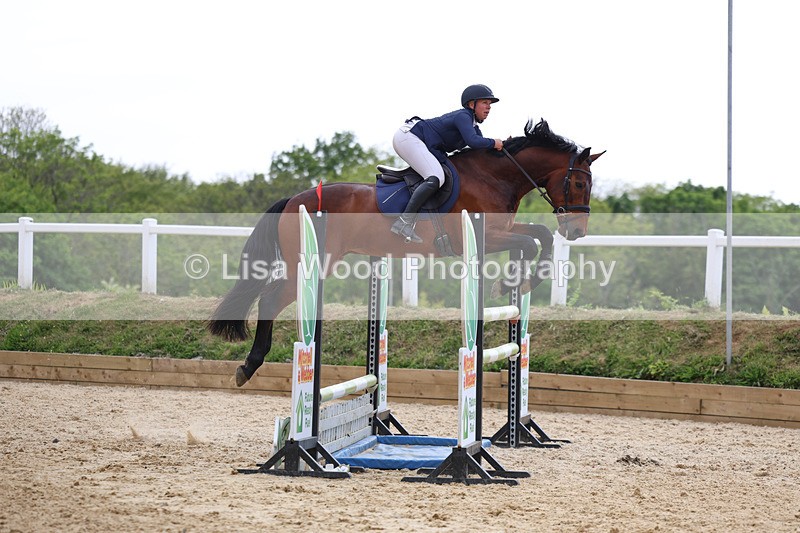 3E7A7891 - Class 8: Senior Foxhunter/1.20 open