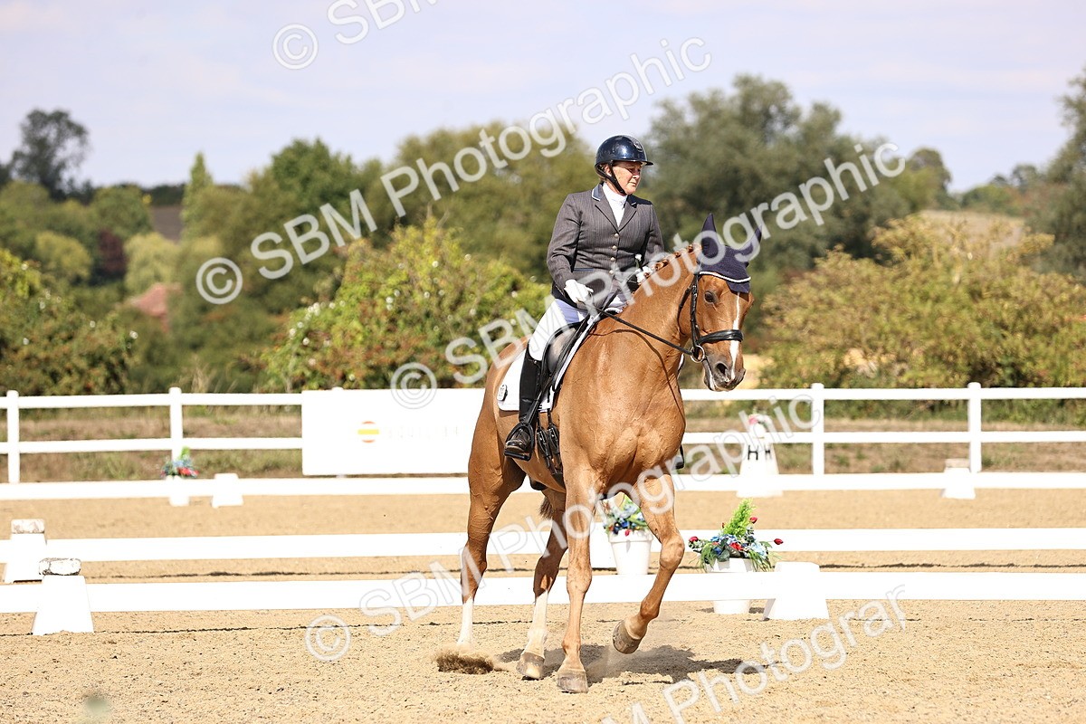 SBM_015094 - Class 6 - Elementary 5
