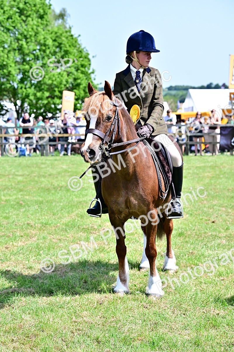 SBM_03928 - Class 58 - TSR  Ridden Veteran Amateur of the year