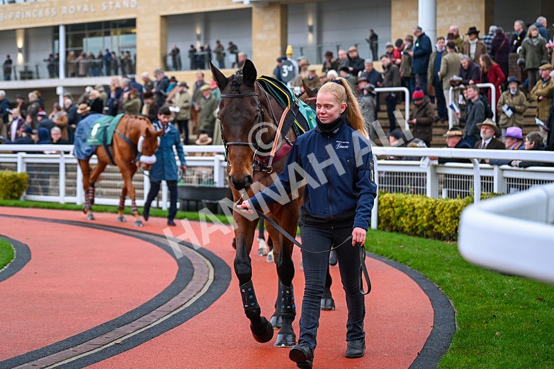 131224-Race 4-Chambard-9646 - Race 4