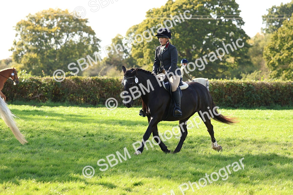 SBM_52431 - S13 - Pony Club Pony