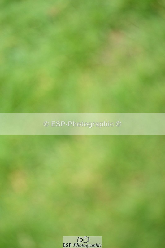 250706A-121742-19185 - Cls 44 Area Trial