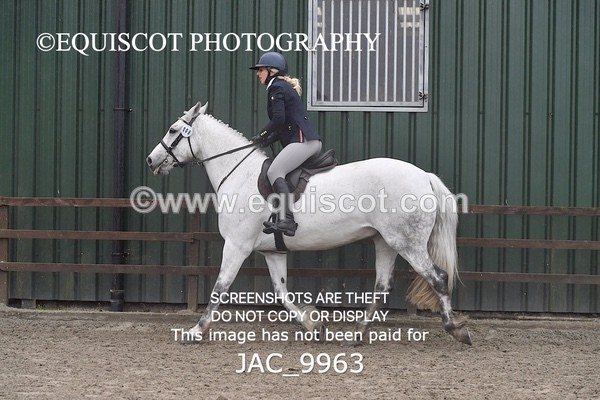 JAC_9963 - CLASS 3 Intermediate Working Hunter (0.70m - 0.85m)