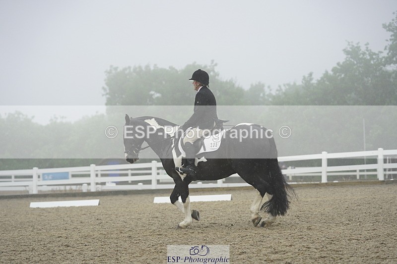 230708A-150834-03988 - Prelim 18