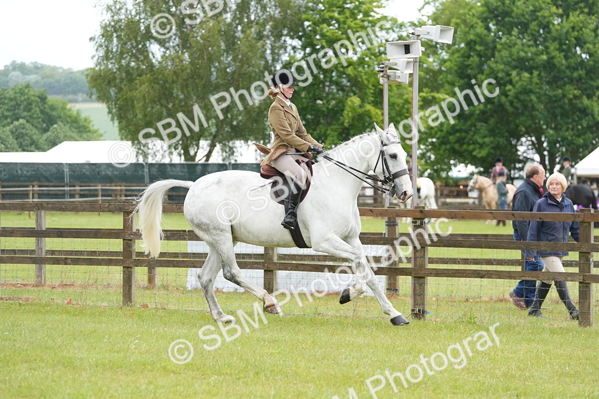 SBM_12689 - Class 97-98 - LIHS BSHA Rising Star Working Show Horse Hunter