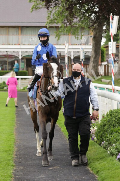 yr11062021r7-20 - Race 7 5.05pm SASH Charity Stakes