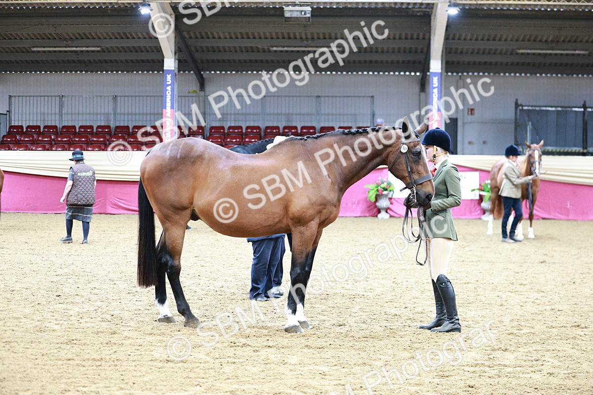 SBM_00281 - Class 1A - Area IH Diamond