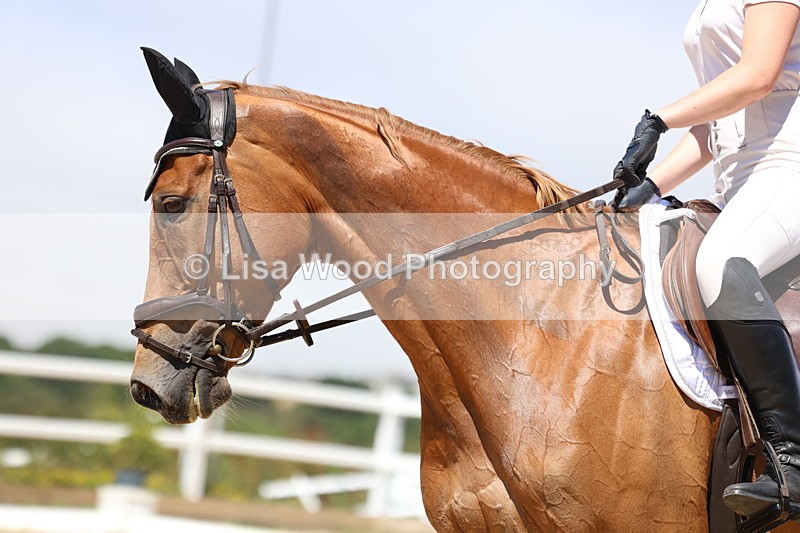 3E7A0787 - Class 3: Unaffiliated Prelim 3 2024 Section A