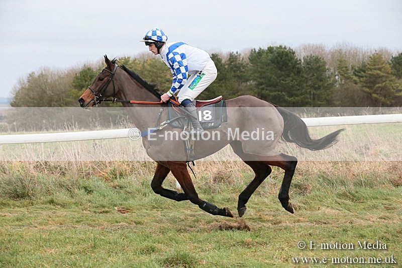 PtP 060119 331 - Larkhill Racing Club - Point-to-Point- 06/01/2019