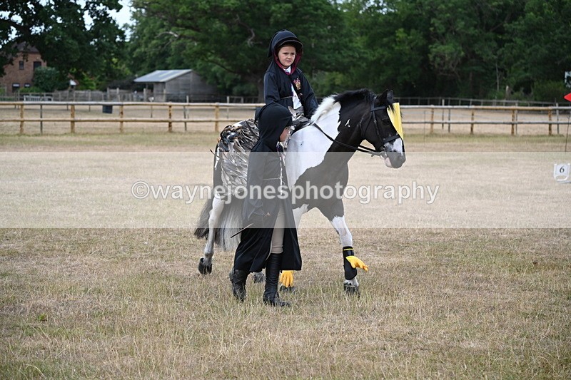 WJ6_8587 - Class 11 Fancy Dress