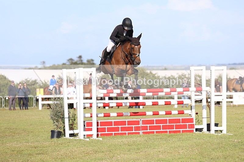 3E7A4516 - Class C: Showjumping Senior Foxhunter
