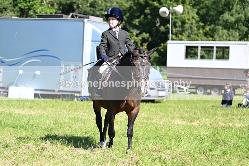 WJ7_0587 - Class 8 First Rally Pony