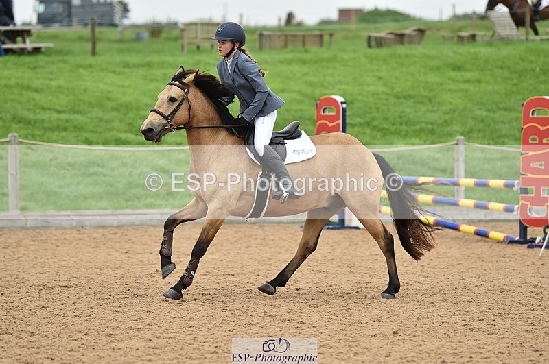 230902A-113802-00781 - Cls 2B Pony Small 80cm