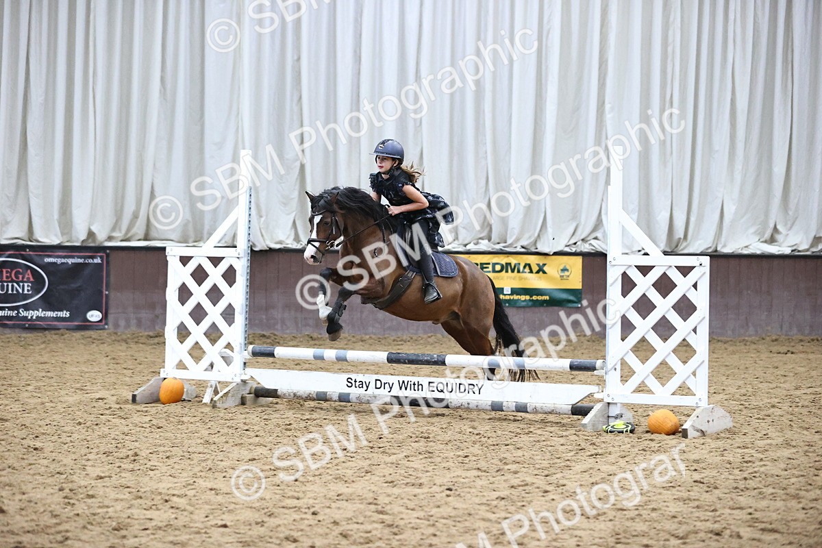 SBM_001219 - Class 3 - Horse & Hound 60cm