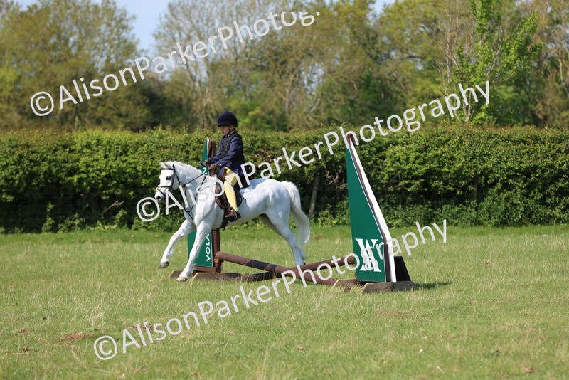 20250427-2393 - Class 19 - Mini Working Hunter