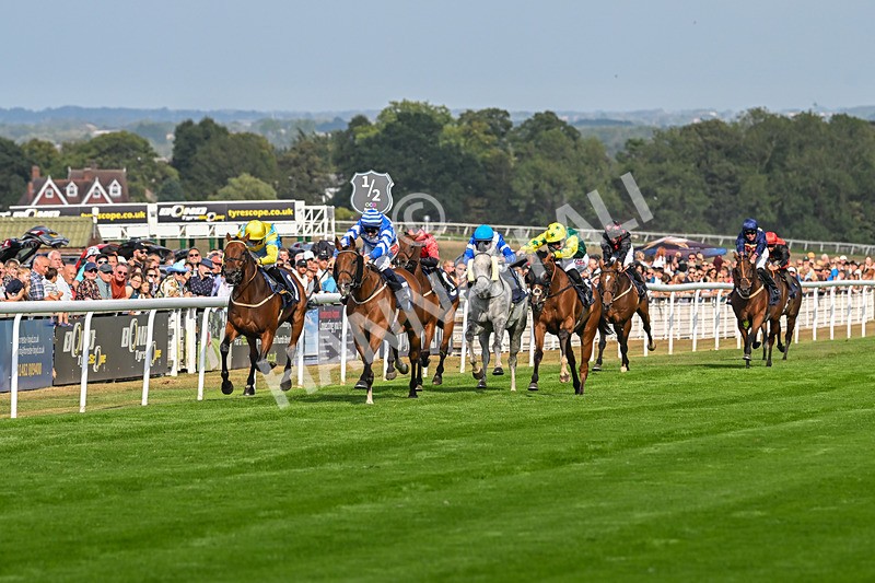 240825-Race 5-This Years Love-3363 - Race 5