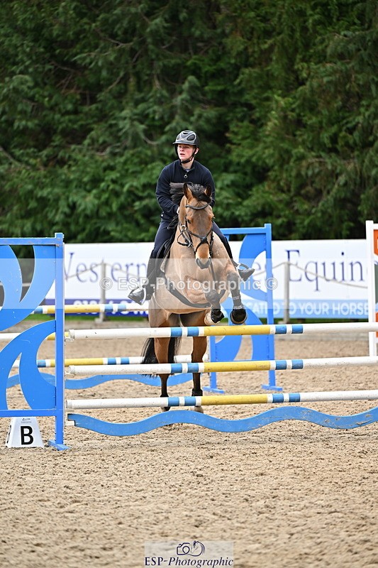 250201A-124844-00683 - Cls 03 Local Horse 110cm