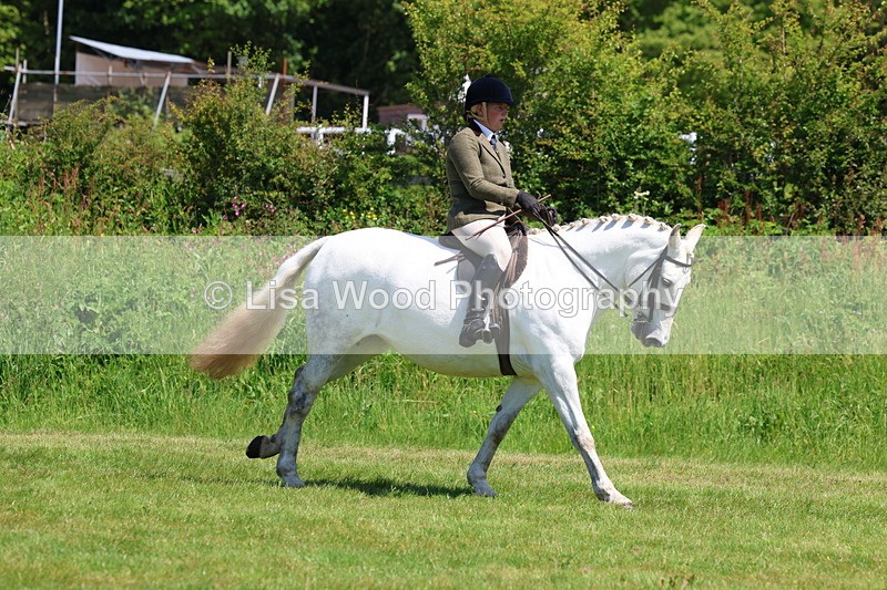 3E7A8271 - Class 13: Ridden Hunter